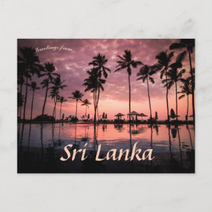 Handflatan Träd vid Negombo Beach Sri Lanka Vykort