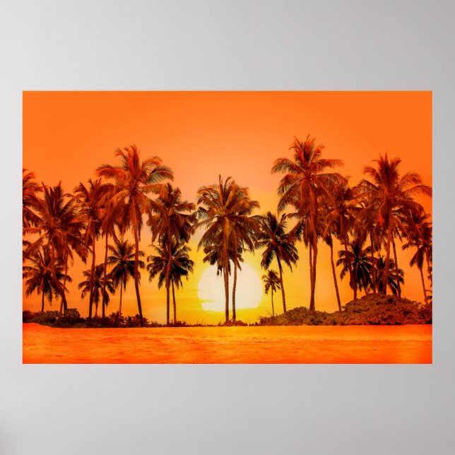 Handflatan träd vid solnedgång. Sri Lanka. Poster (Framsidan)