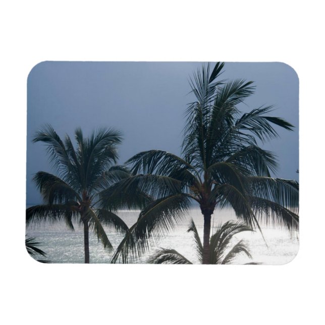 Handflatan Träd vid stranden Magnet (Horisontell)