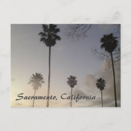 Handflatan Träd vid Sunset Vykort