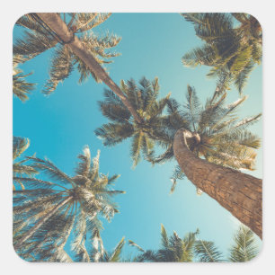 Handflatan Träd vid Tropical Beach-Vintagen Fyrkantigt Klistermärke