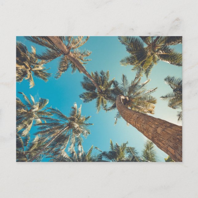 Handflatan Träd vid Tropical Beach-Vintagen Vykort (Framsida)