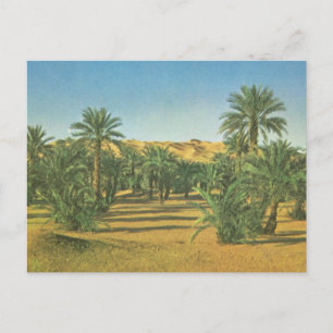 Handflatan träd, Wadi el Adjal, Libyen Vykort