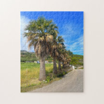 Handflatan Träd Zakynthos Grekland