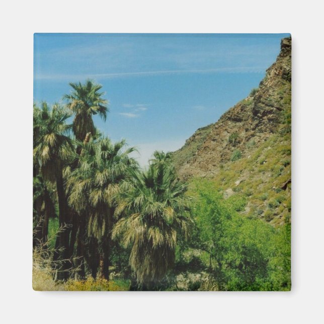 Handflatan Vår Magnet (Framsidan)