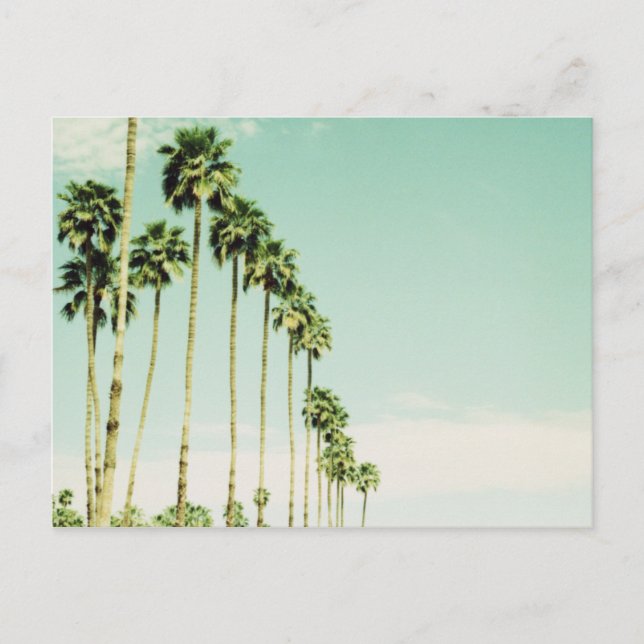 Handflatan Vår Vykort (Framsida)