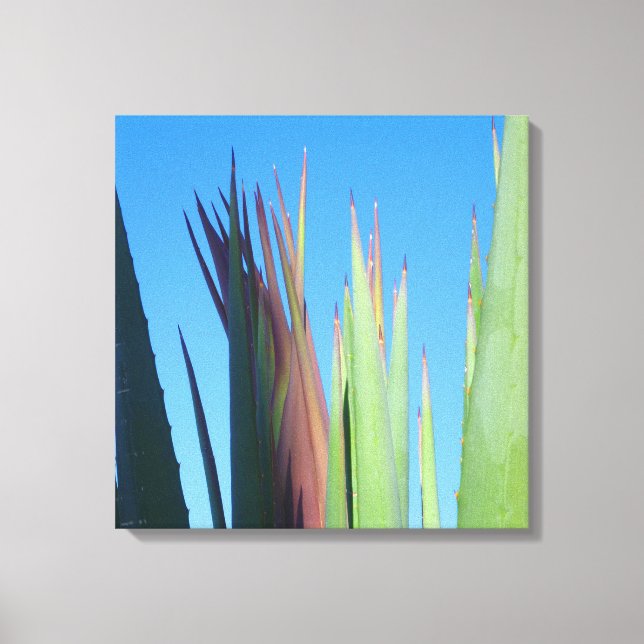 Handflatan Vår Yucca Canvastryck (Framsida)