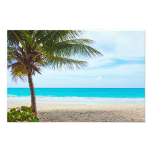 Handflatan vid stranden fototryck