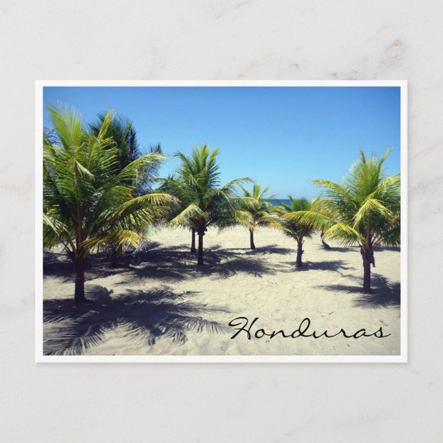 handflatan vykort (Framsida)