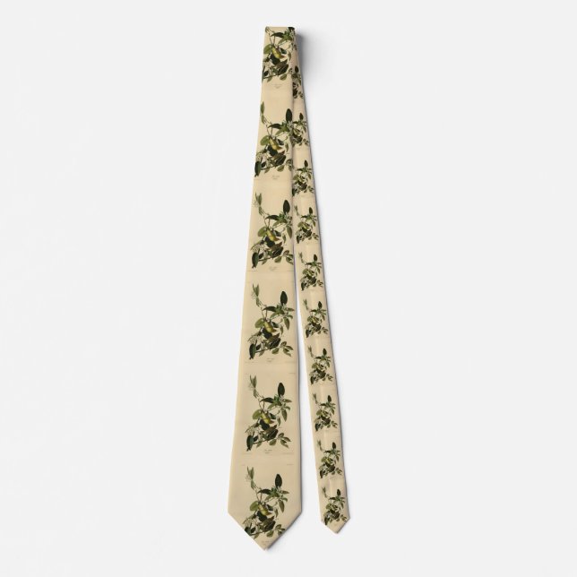 Handflatan Warbler från Audubon's Birds of America Slips (Framsida)