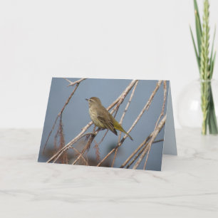 Handflatan Warbler - Kort för fågelhälsning i bakg