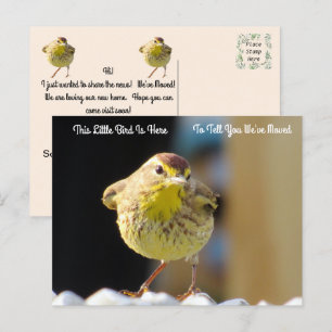 Handflatan Warbler - Nytt adress vykort för bakbäc