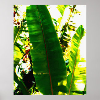 Handflatan Watercolor Poster