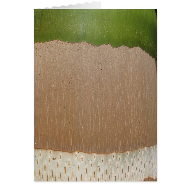 Handflatanmönster OBS Kort (Framsidan)