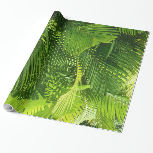 Handflatanormbunksblad Presentpapper