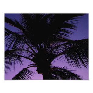 HandflatanormbunksbladSilhouette Fototryck