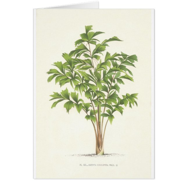 Handflatansamling - teckning mig hälsningskort (Framsidan)