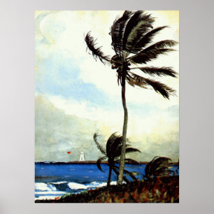 "HandflatanTräd-Nassau' Poster