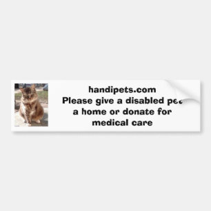 Handipets websitebildekal bildekal