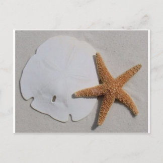 Handkort för sanddollar och stjärnfisk vykort