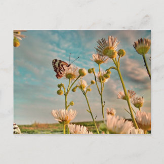 Handlag av magi dammar av från uns vykort