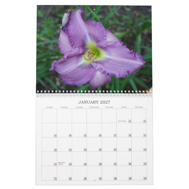 Handlag av soldayliliesna II Kalender (Jan 2027)