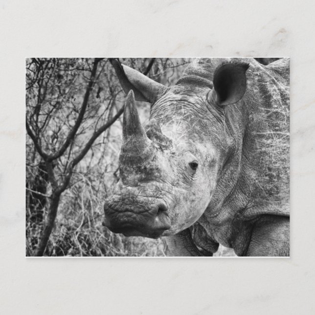 Handlig Vykort (Framsida)