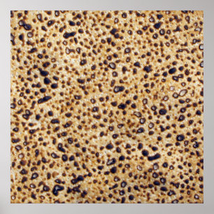 Handmade Shmura Matzah Poster