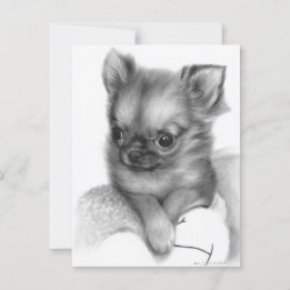 Handmålad Chihuahua Puppy - Gentle Gaze Vykort