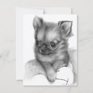 Handmålad Chihuahua Puppy - Gentle Gaze Vykort