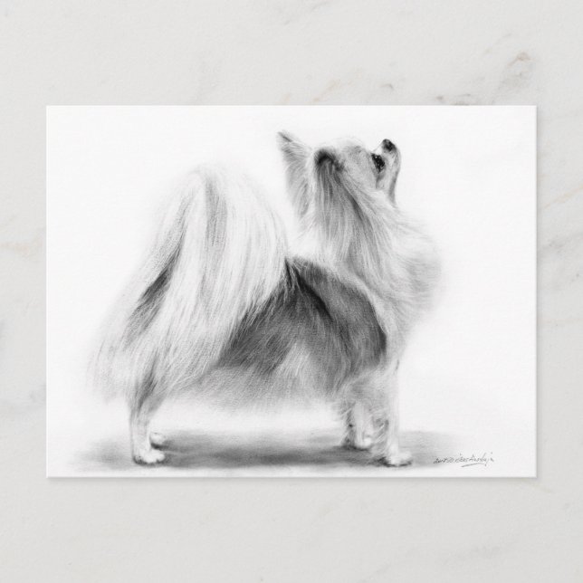 Handmålad Elegant Long-HH Chihuahua Vykort (Framsida)