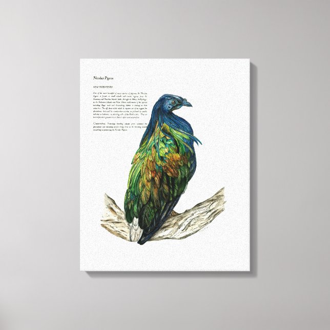 Handmålad fågelutskrift på arbetsytan canvastryck (Framsida)