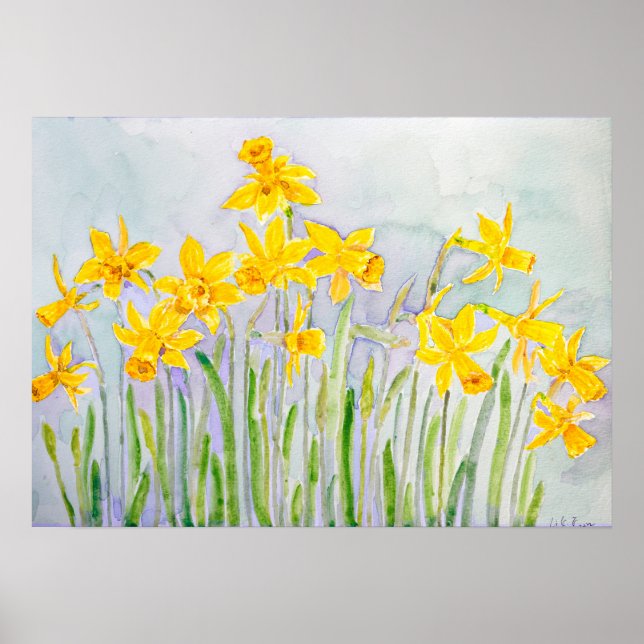 handmålad gul narcissfält akvarell poster (Framsidan)