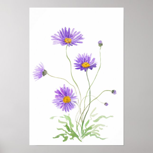 handmålad lila tusensköna akvarell poster (Framsidan)
