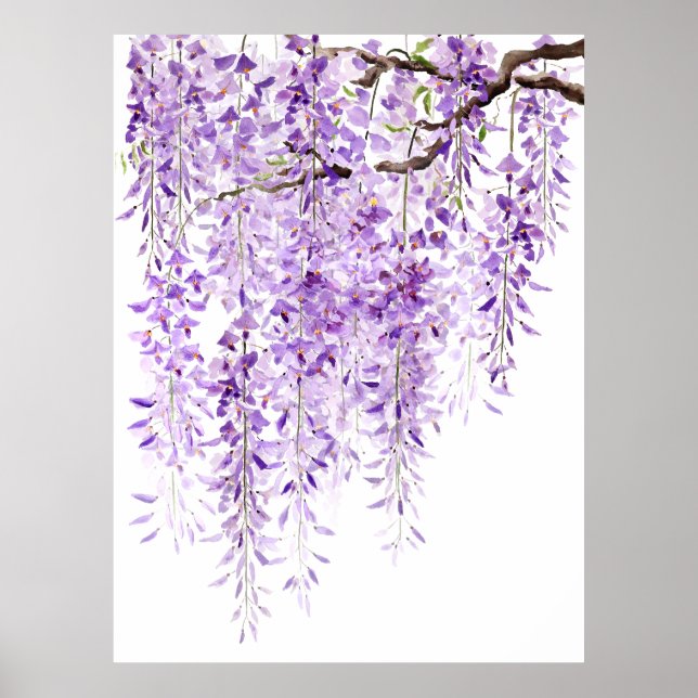 handmålad lila wisteria i blomma 2024 poster (Framsidan)