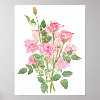 handmålad rosa ros akvarell poster