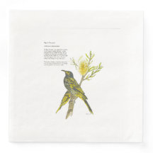 Handmålad utskrift av utrotningshotade honeyeater 