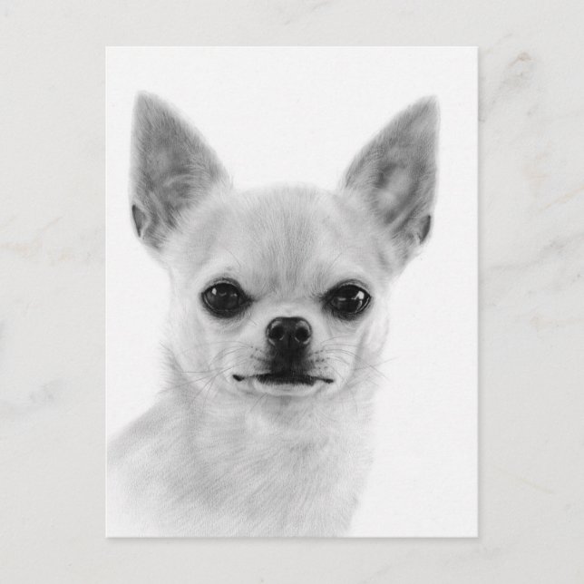 Handmålad White Chihuahua Artwork Vykort (Framsida)