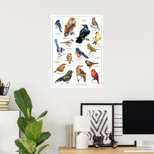 Handmålade fåglar Skriv ut Poster