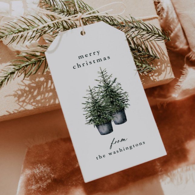 Handmålade krukor med julgranar firande  presentetikett (Elegant hand painted potted Christmas trees holiday gift tags.)
