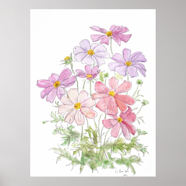 handmålade lila- och rosa cosmos blommor bläck och poster (Framsidan)