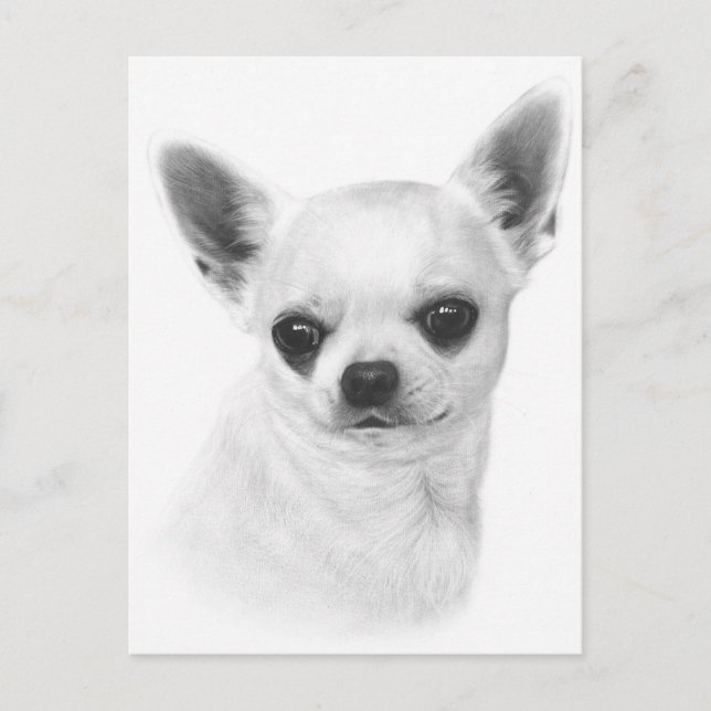 Handmålat Chihuahua-uttryck Vykort (Framsida)