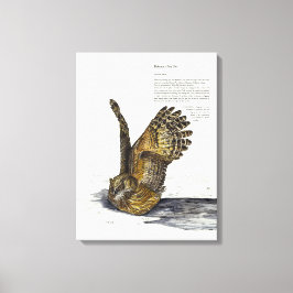 Handmålsarbetsytan för Uggla-utskrift är hotad Canvastryck