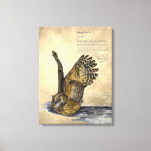 Handmålsarbetsytan för Uggla-utskrift är hotad