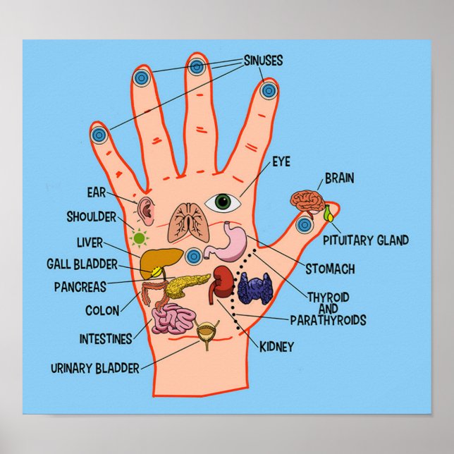 Handreflexologi 13 x 12 tum poster (Framsidan)