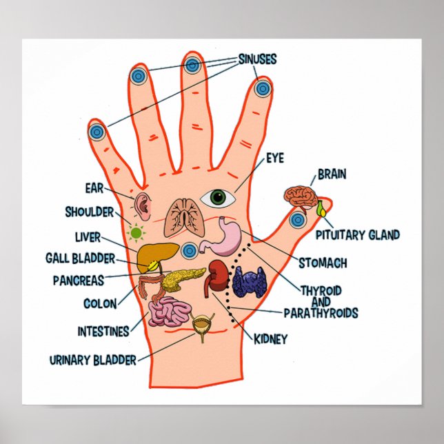 Handreflexologi 13 x 12 tum poster (Framsidan)