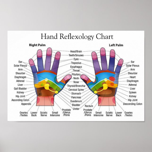 Handreflexologi 14 x 10 tum poster (Framsidan)