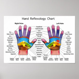 Handreflexologi 14 x 10 tum poster
