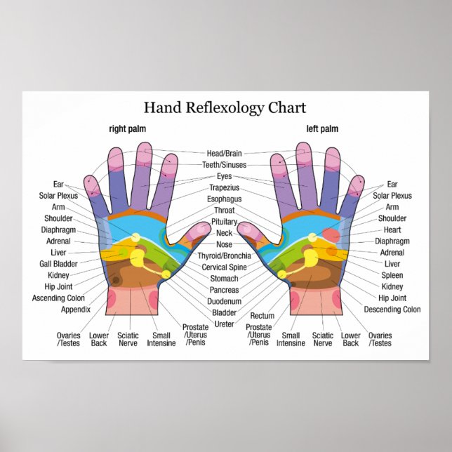 Handreflexologi 16 x 11 tum poster (Framsidan)