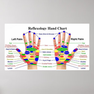 Handreflexologi 22 x 12 tum poster